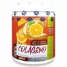 Colageno Hidrolizado 333gr.