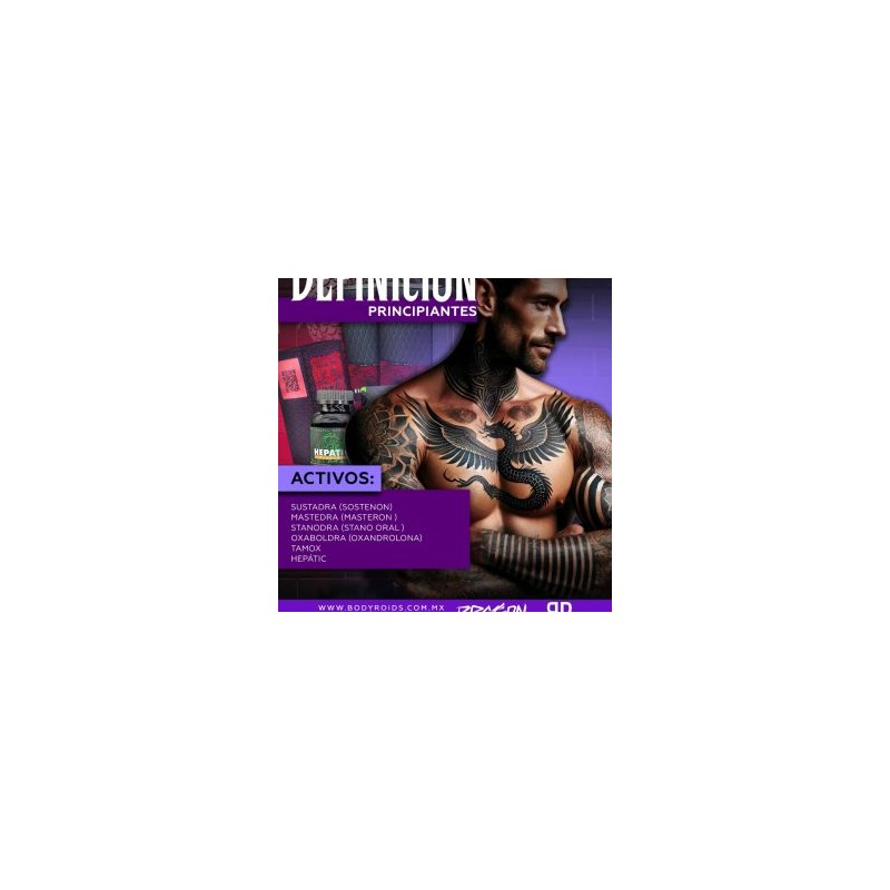 DEFINICIÓN PRINCIPIANTES