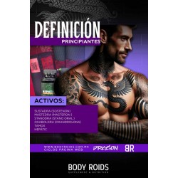 DEFINICIÓN PRINCIPIANTES