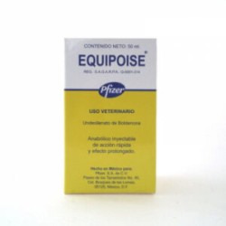 EQUIPOISE